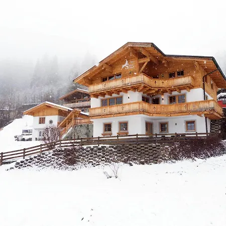 Alpensteinbock L سالباخ هينترغليم